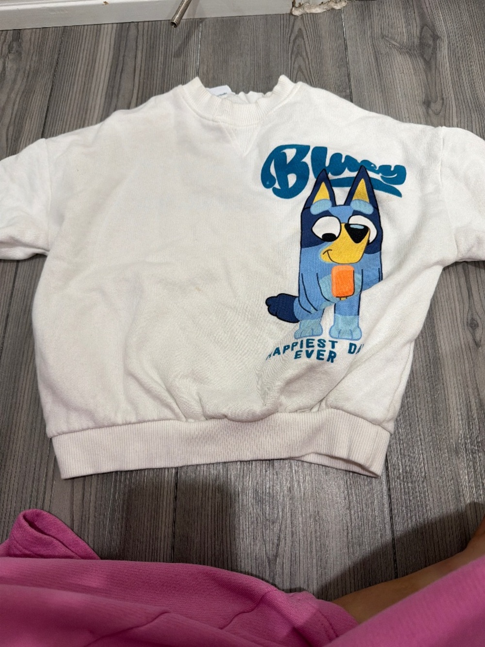 Bluey Zara sweater
